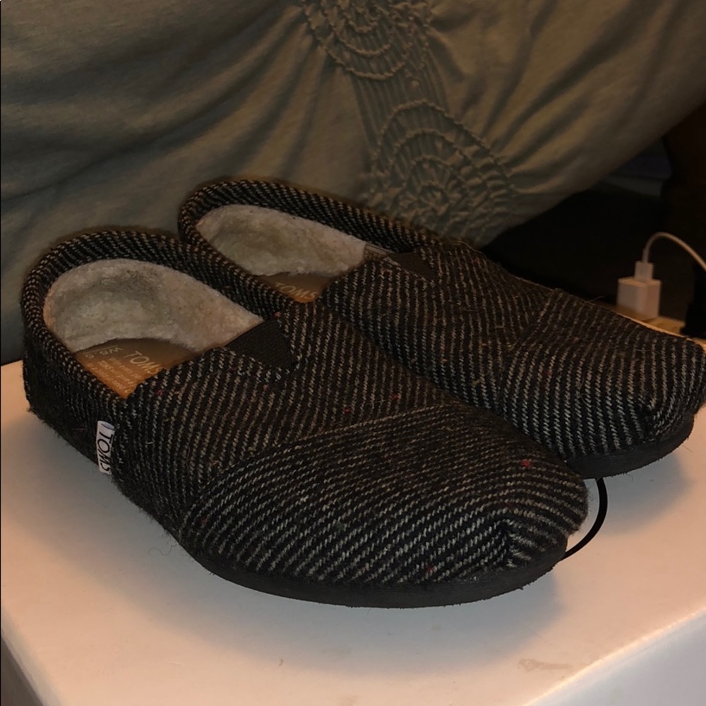 Furry Toms